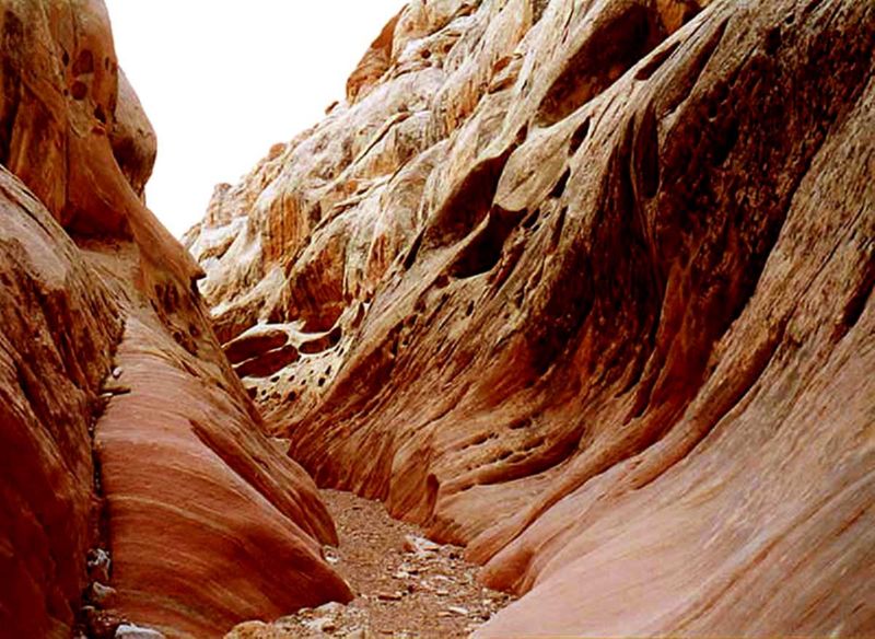 04160302LittleWildHorse (1120)